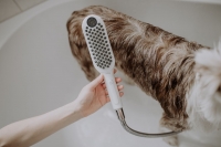 Furly Dog Shower / Hansgrohe