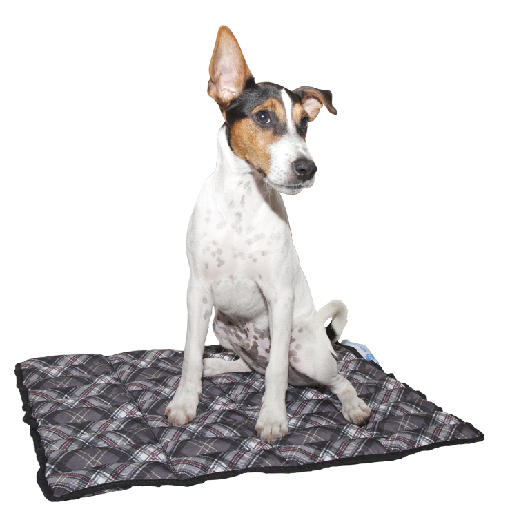 Aqua Coolkeeper Matte Kühldecke für Hunde Scottish grey SXXL Hunde