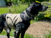 Dog Cooling Vest Iceland Khaki Coud 7 - Kühlweste